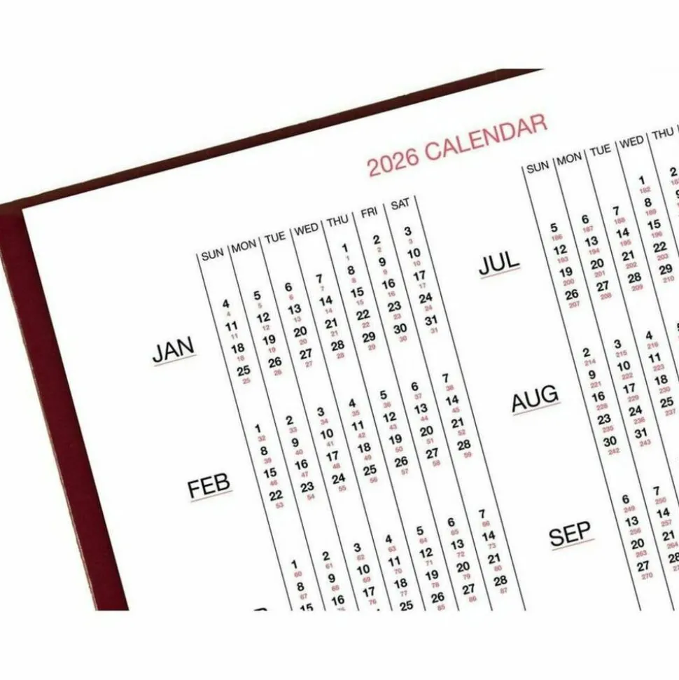 AT-A-GLANCE Standard Diary Daily Diary, 2027 Edition, Medium/College Rule, Red Cover, (200) 9.5 x 7.5 Sheets, 2027 Calendar