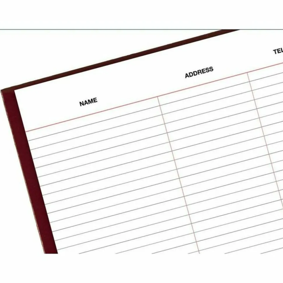 AT-A-GLANCE Standard Diary Daily Diary, 2027 Edition, Medium/College Rule, Red Cover, (200) 9.5 x 7.5 Sheets, 2027 Calendar