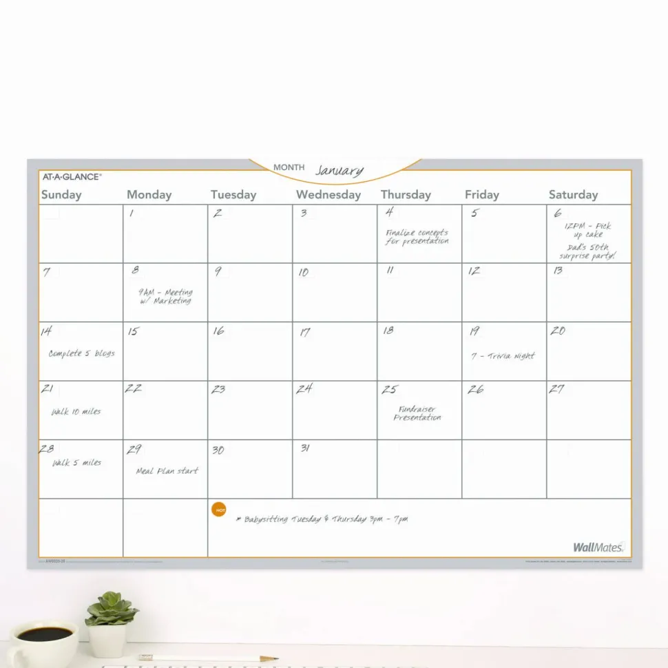 AT-A-GLANCE WallMates Monthly Dry-Erase Calendar, 24" x 36", Undated Calendar