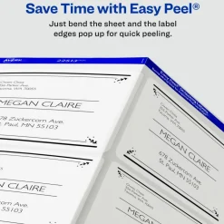 Avery Matte Shipping Labels With Sure Feed Technology, 5663, Rectangle, 2