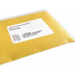 Avery PRES-a-ply Labels for Laser and Inkjet Printers, AVE30604, Rectangle, 3 1/3