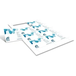 Badge Inserts, Business Card Size, 2 1/4" x 3 1/2", White, Pack Of 400