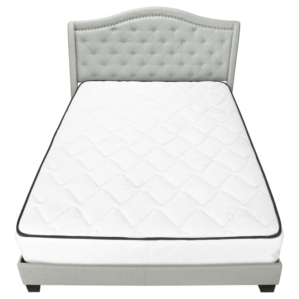 Bed, Queen Size, Bedroom, Frame, Upholstered, Grey Velvet, Chrome Trim, Traditional
