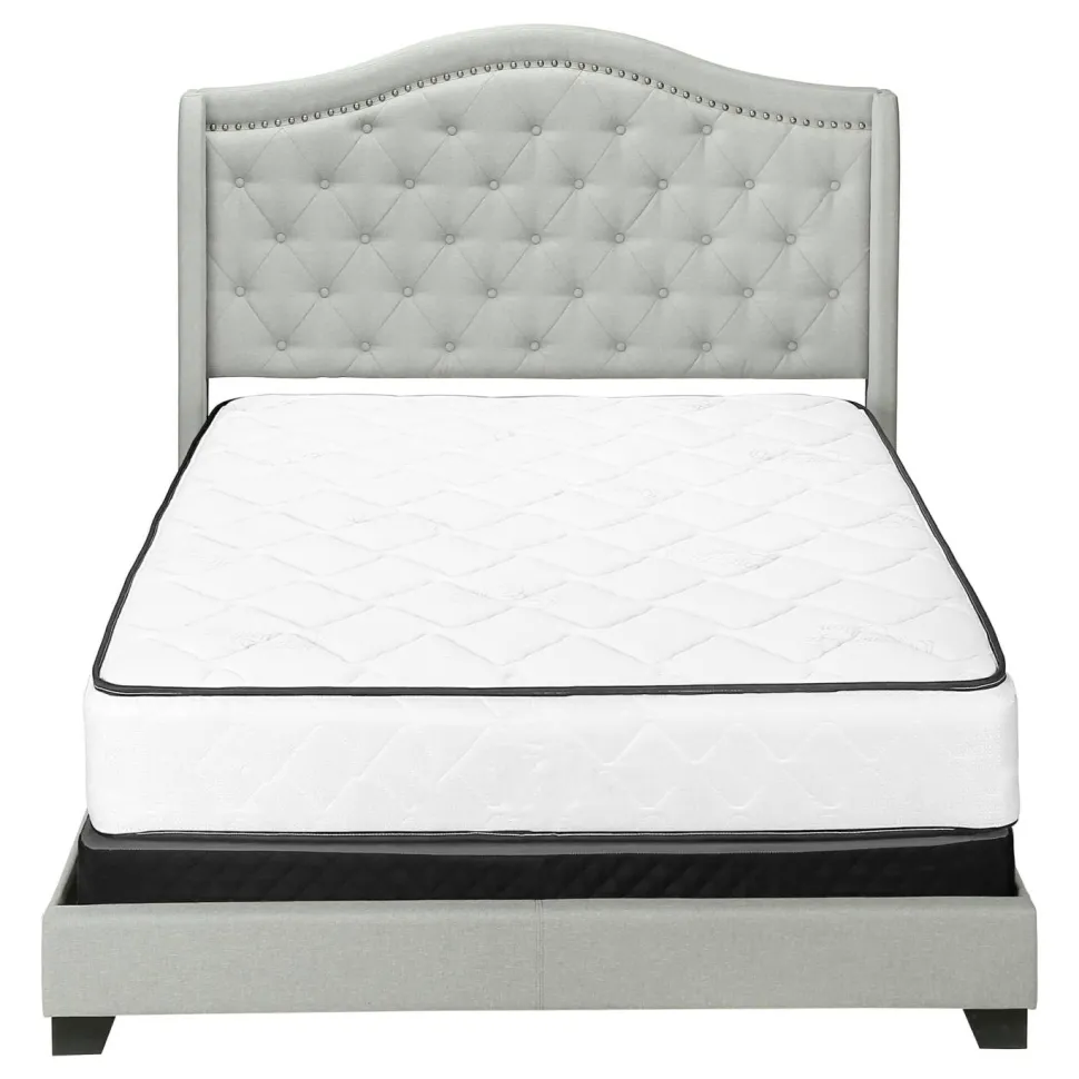 Bed, Queen Size, Bedroom, Frame, Upholstered, Grey Velvet, Chrome Trim, Traditional