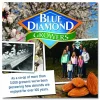 Blue Diamond Roasted Salted Almonds, 1.5 oz Tube, 12 Tubes/Carton