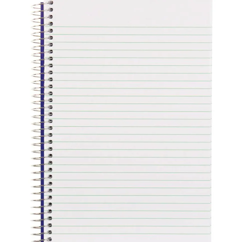 Blueline Steno Notes Notebook, Gregg Rule, Blue/White Cover, (180) 9 x 6 Sheets