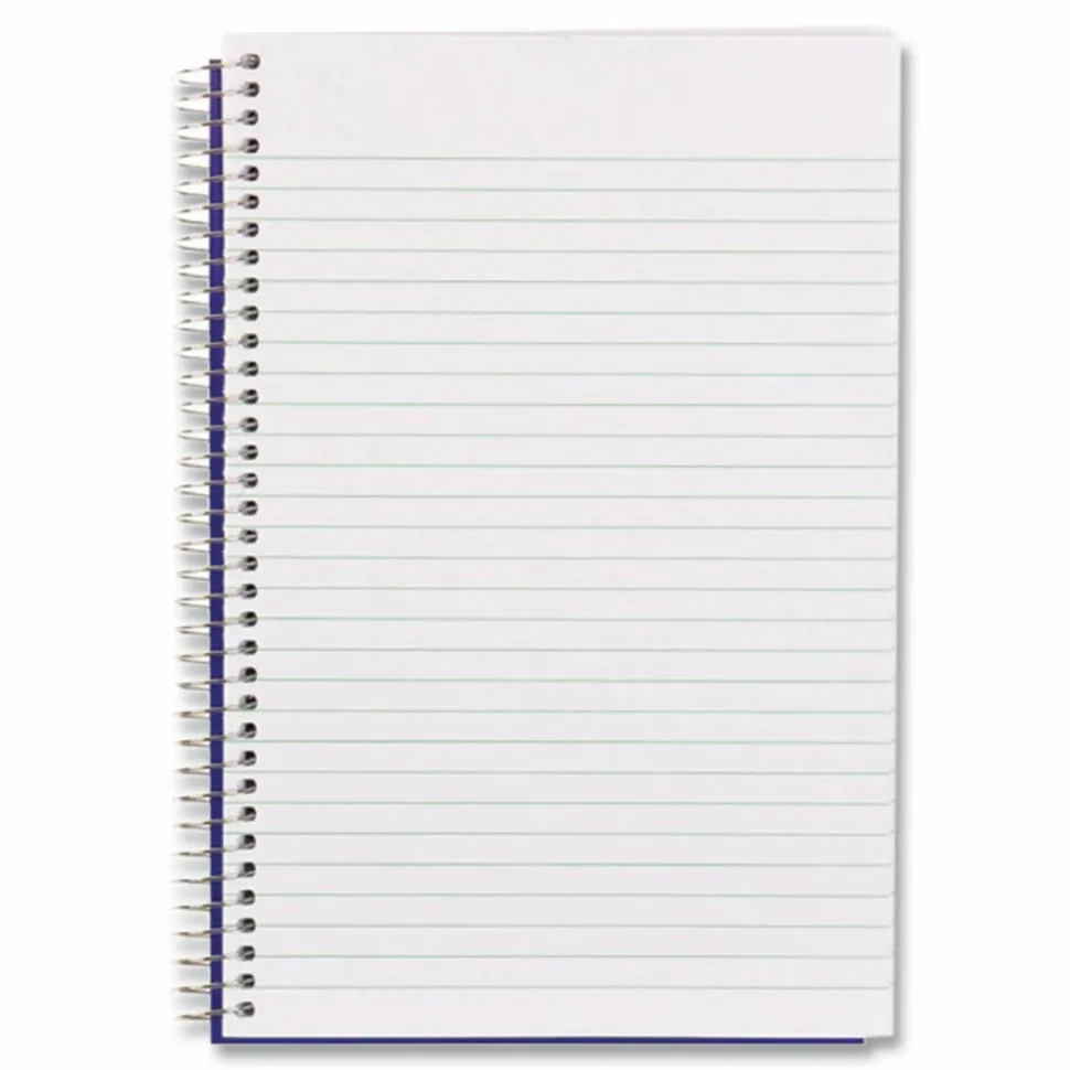 Blueline Steno Notes Notebook, Gregg Rule, Blue/White Cover, (180) 9 x 6 Sheets