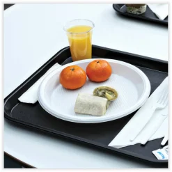 Boardwalk Hi-Impact Plastic Dinnerware, Plate, 10