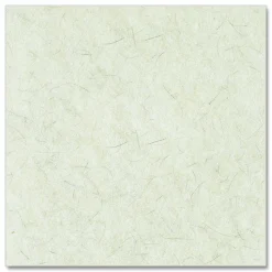 Boardwalk Natural Burnishing Floor Pads, 24" Diameter, White, 5/Carton