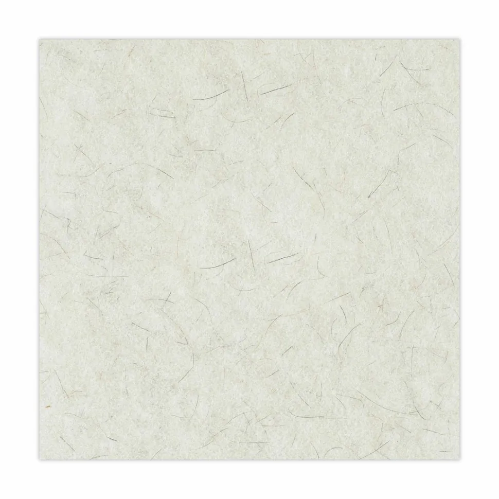Boardwalk Natural Burnishing Floor Pads, 20" Diameter, White, 5/Carton