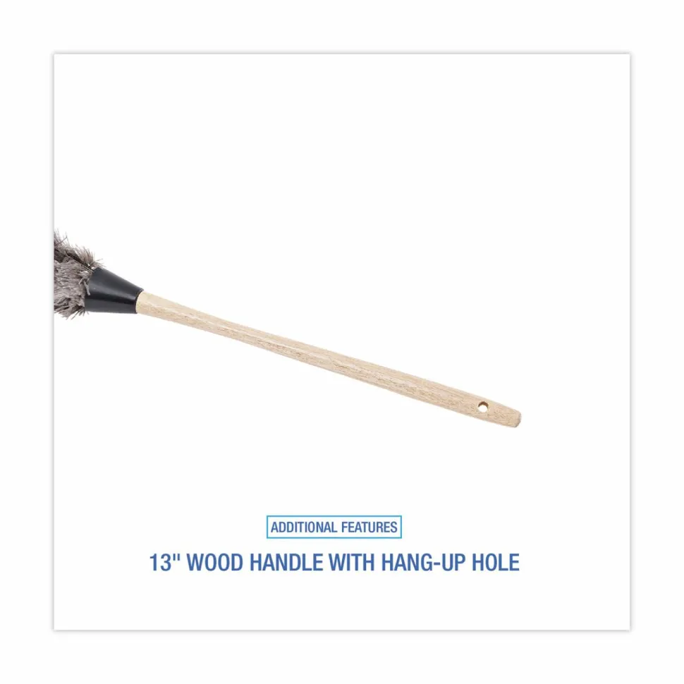 Boardwalk Professional Ostrich Feather Duster, 13" Wood Handle