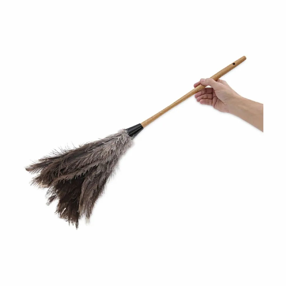 Boardwalk Professional Ostrich Feather Duster, 16" Wood Handle, 12" Gray Bristle