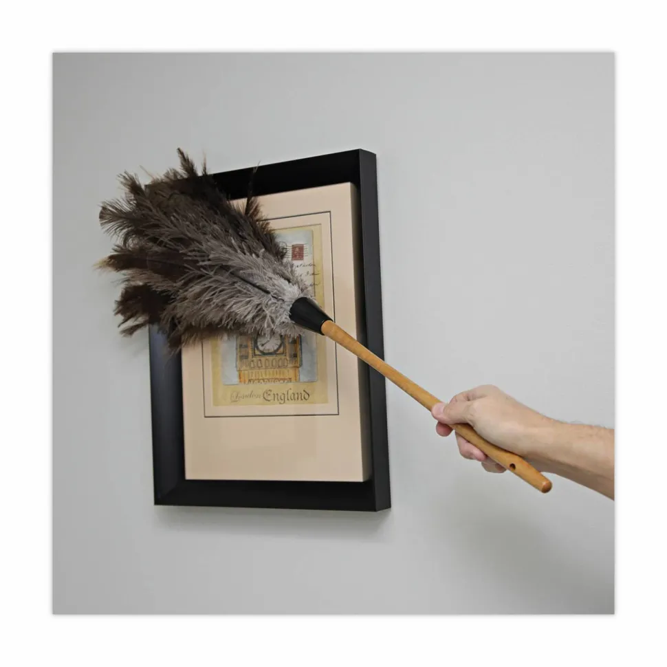 Boardwalk Professional Ostrich Feather Duster, 16" Wood Handle, 12" Gray Bristle