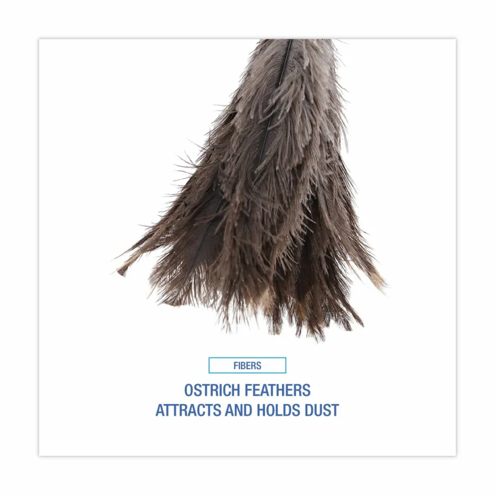 Boardwalk Professional Ostrich Feather Duster, 16" Wood Handle, 12" Gray Bristle