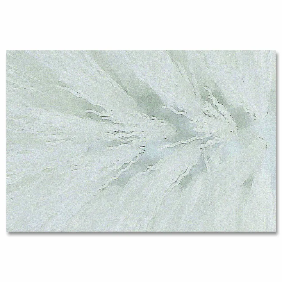 Boardwalk Spiral Bowl Brush, 13" Handle, White