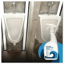 Boardwalk Urine Stain and Odor Remover, Fresh Mint Scent, 32 oz, 12/Carton