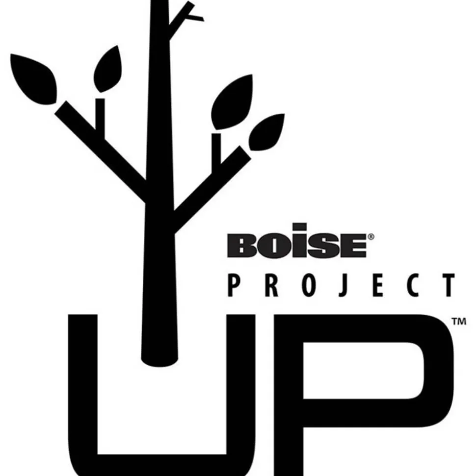 Boise ASPEN 30 Multi-Use Printer & Copy Paper, White, Ledger (11" x 17"), 2500 Sheets Per Case, 20 Lb, 92 Brightness, 30% Recycled, FSC Certified