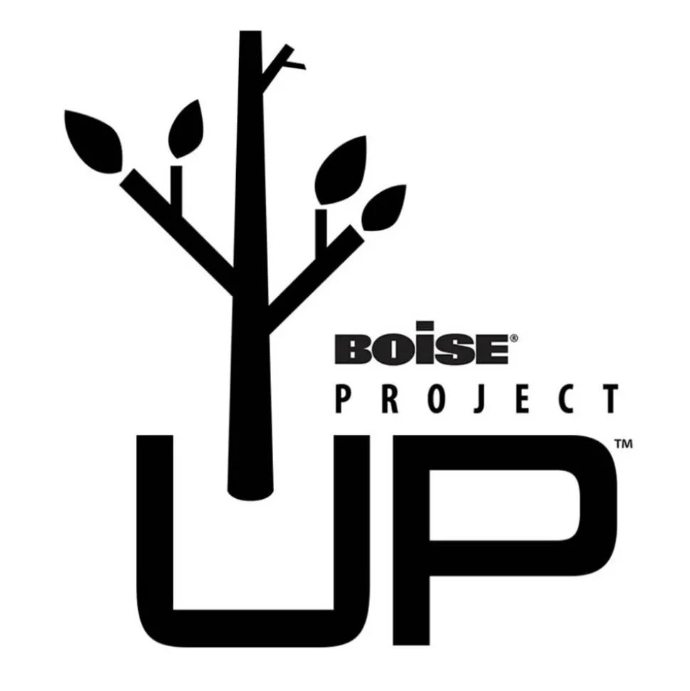 Boise X-9 Multi-Use Printer & Copy Paper, White, Letter (8.5" x 11"), 2500 Sheets Per Case, 20 Lb, 92 Brightness