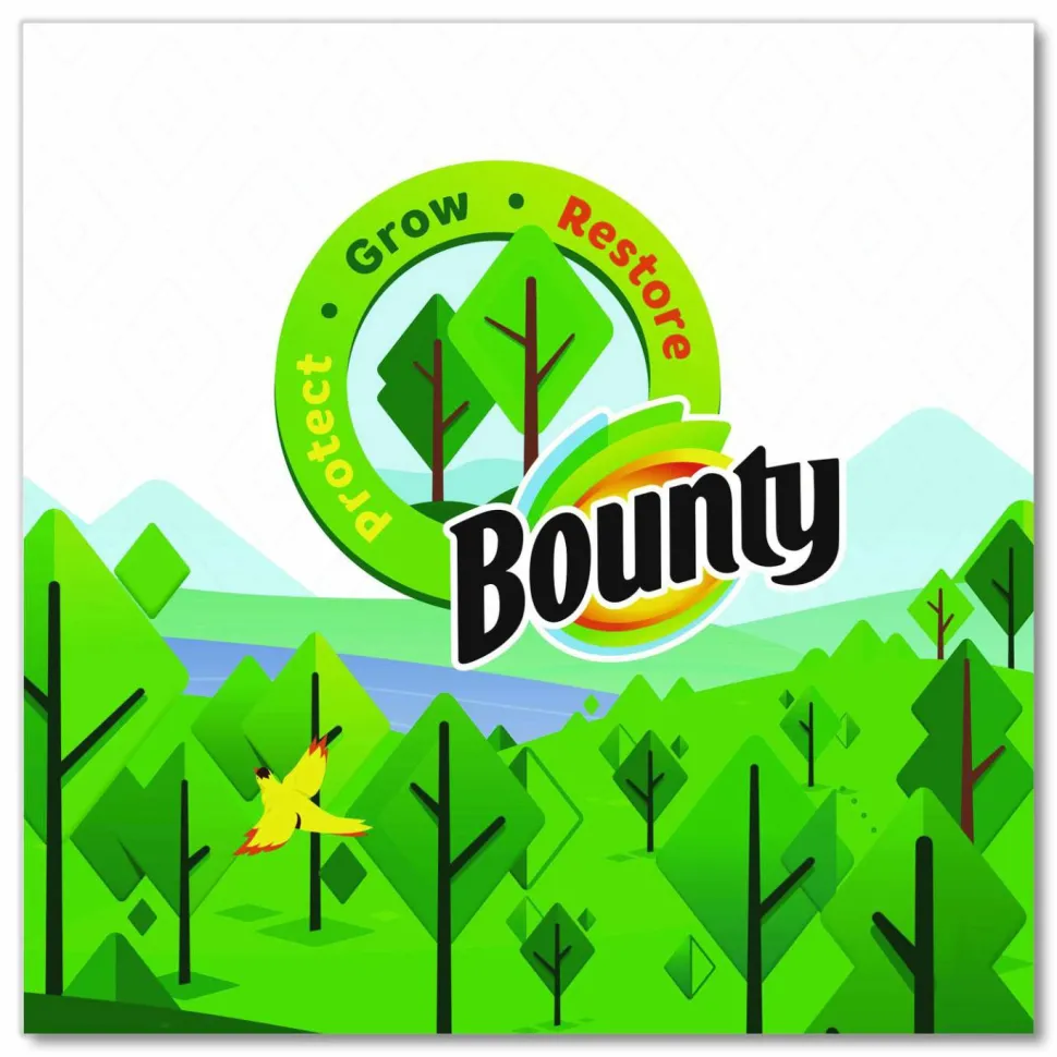 Bounty Essentials Select-A-Size Kitchen Roll Paper Towels, 2-Ply, 108 Sheets/Roll, 12 Rolls/Carton