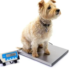 Brecknell 400 lb. Portable Shipping Scale - 400 lb / 181 kg Maximum Weight Capacity - White