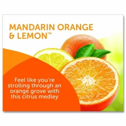 BRIGHT Air Super Odor Eliminator, Mandarin Orange and Fresh Lemon, 14 oz Jar