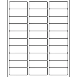 Business Source Bright White Premium-quality Address Labels - 1"x 2 5/8" - Permanent Adhesive - Rectangle - 21051
