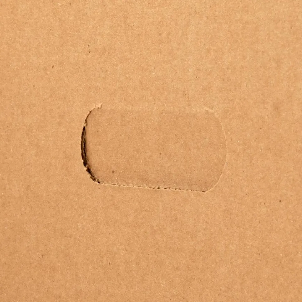 Business Source Heavy Duty Letter Size Storage Box