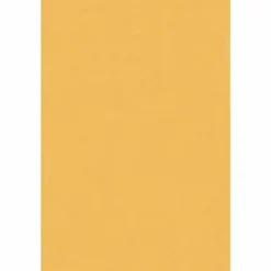 Business Source Heavy-duty Metal Clasp Envelopes - Clasp - #55 - 6