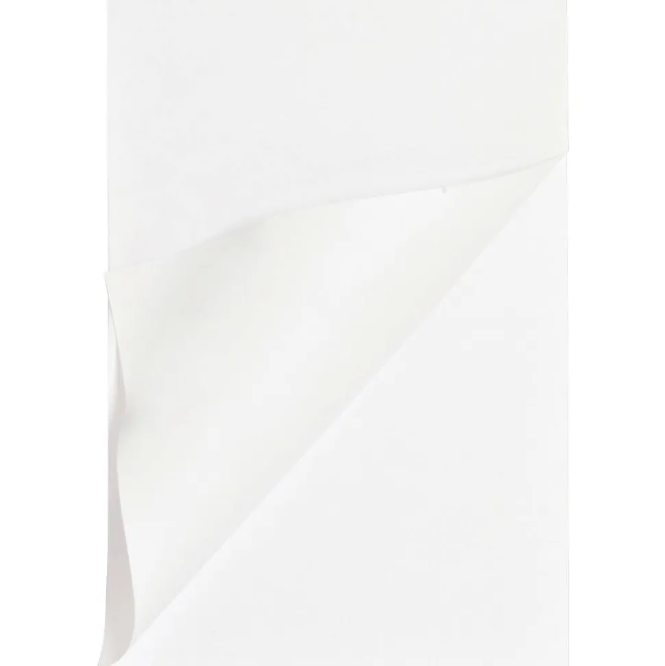 Business Source Plain Memo Pads - 100 Sheets - Plain - Glued - Unruled Front Ruling - 15 lb Basis Weight - 65901
