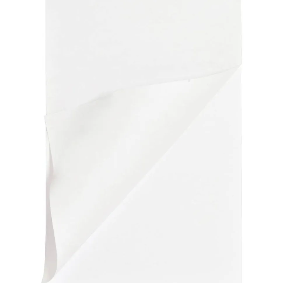 Business Source Plain Memo Pads - 100 Sheets - Plain - Glued - Unruled Front Ruling - 15 lb Basis Weight - 65901CT