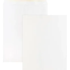 Business Source Self Sealing Catalog Envelopes - Catalog - 10