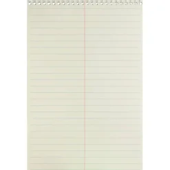 Business Source Steno Notebooks
