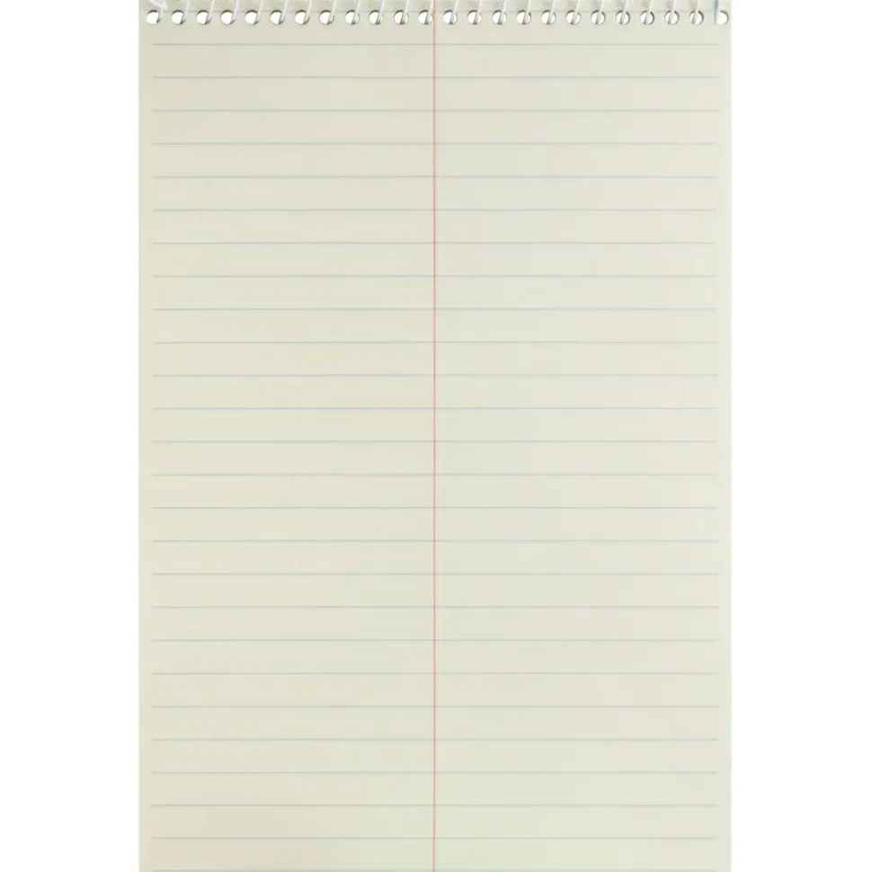 Business Source Steno Notebooks