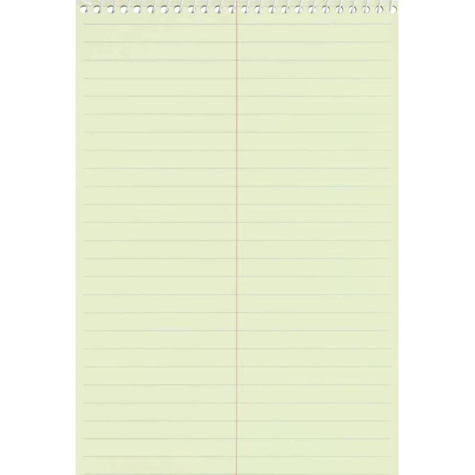 Business Source Steno Notebook