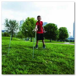 Champion Sports Deluxe Horseshoe Tournament Set, 4 Horseshoes/2 Stakes/Carry Bag/Rule Sheet