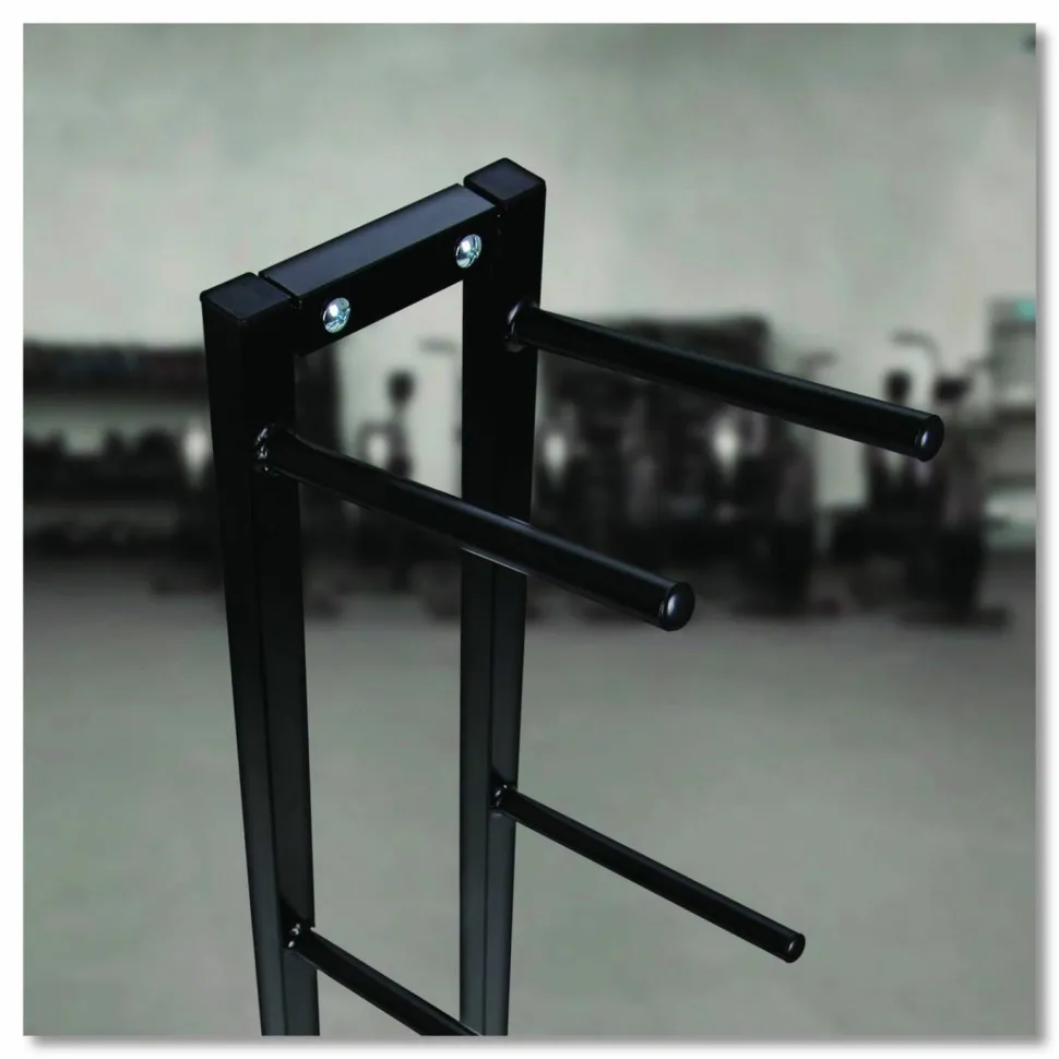 Champion Sports Single Medicine Ball Tree, 11" x 15" x 52", Black