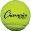 Champion Sports Tennis Balls, 2.5" Diameter, Yellow, 3/Pack