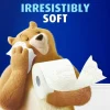 Charmin Ultra Soft 2-Ply Toilet Paper, 4" x 4", 208 Sheets Per Roll, Pack Of 12 Mega Rolls
