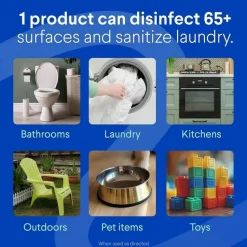 Clorox Disinfecting Bleach