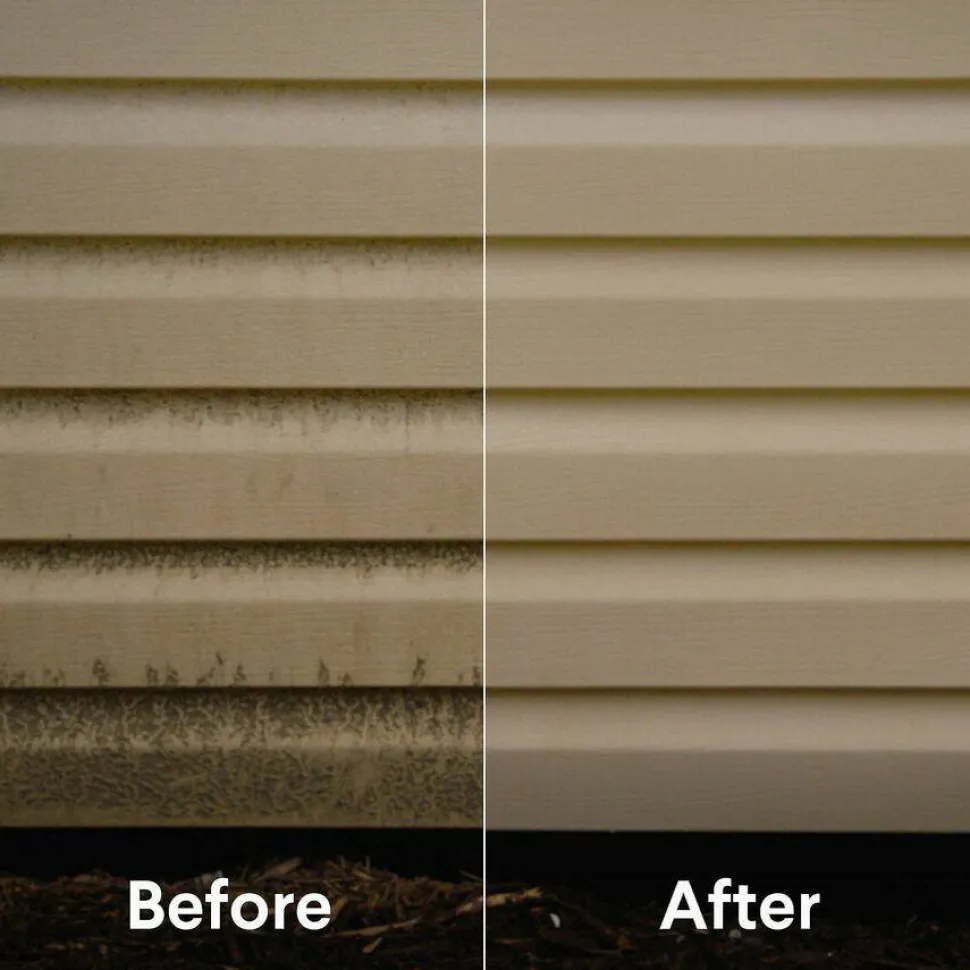 Clorox Disinfecting Bleach