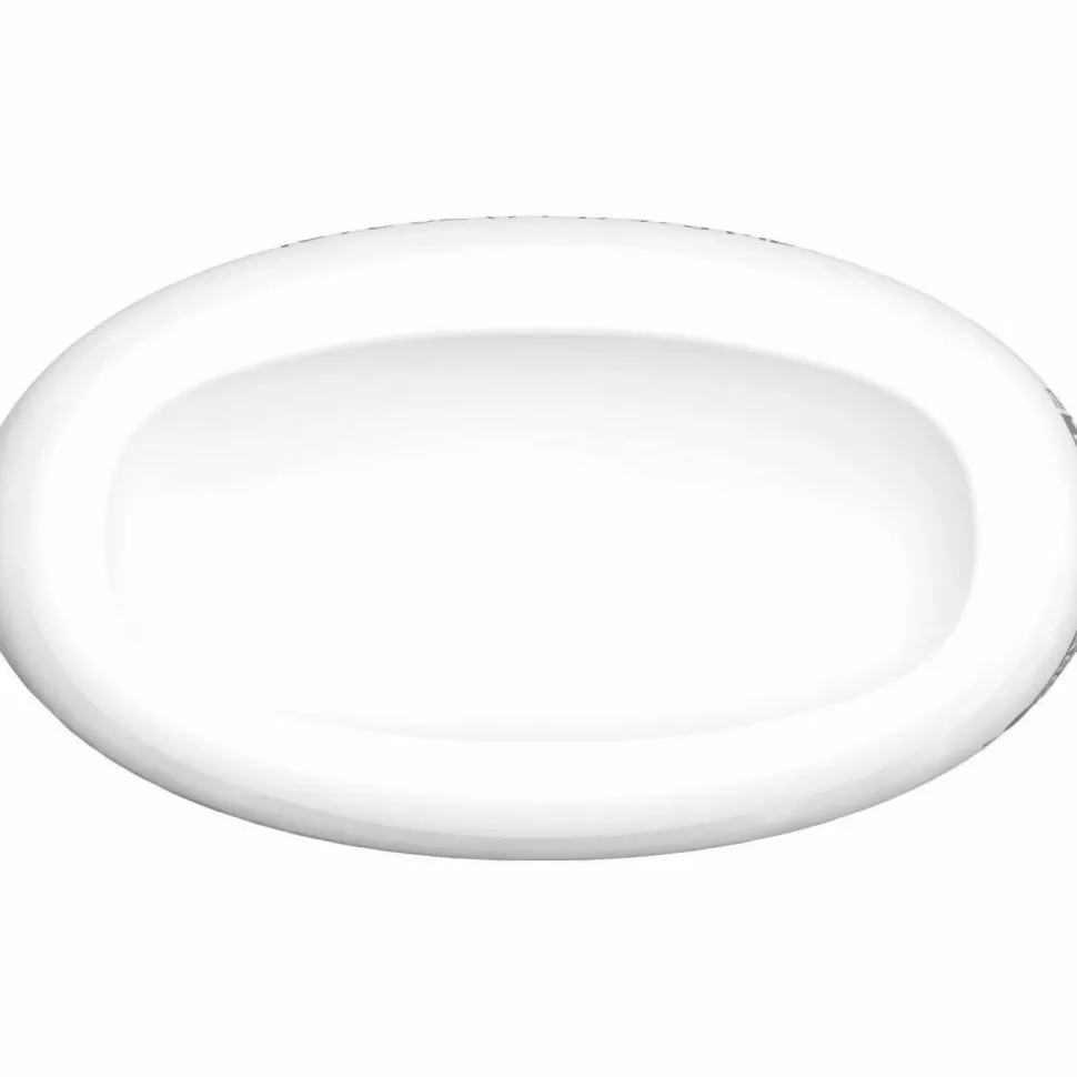 Clorox Disinfecting, Sanitizing & Antibacterial Mist Refill