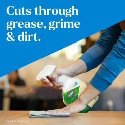CloroxPro™ EcoClean All-Purpose Cleaner Refill