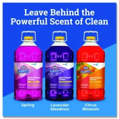 CloroxPro Fraganzia Multi-Purpose Cleaner, Lavender Meadows Scent, 175 oz Bottle, 3/Carton