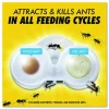 Combat Max 2-in-1 Ant Bait, 4/Pack, 8 Packs/Carton