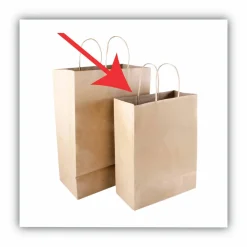 COSCO Premium Paper Shopping Bags, 10