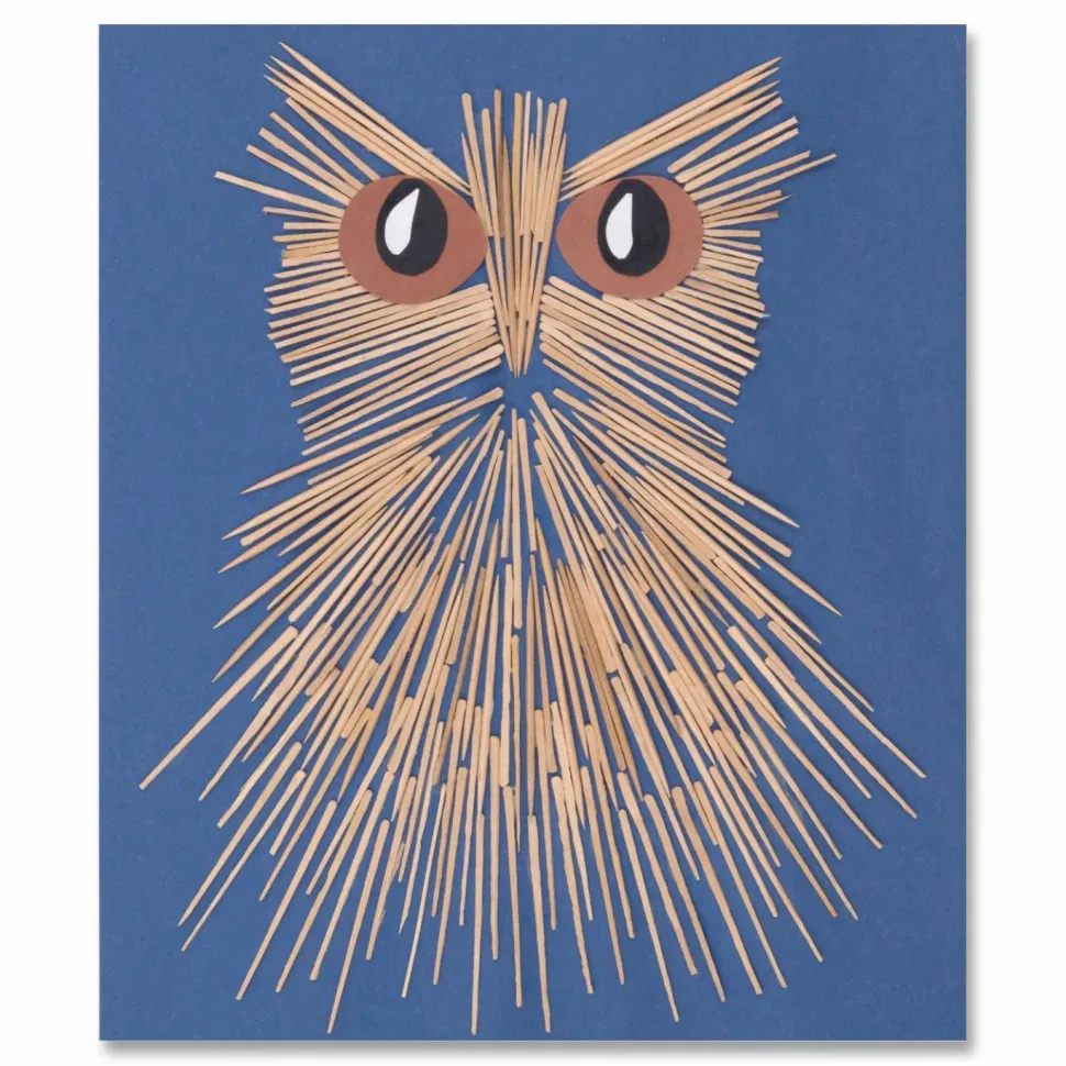 Creativity Street Wood Crafts Flat Toothpicks, Natural, Box Of 2,500