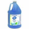 Dial Professional Antibacterial Defense Liquid Hand Soap, Spring Water Scent, 1 gal