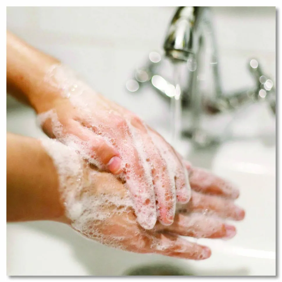 Dial Professional Antibacterial Defense Liquid Hand Soap, Spring Water Scent, 1 gal