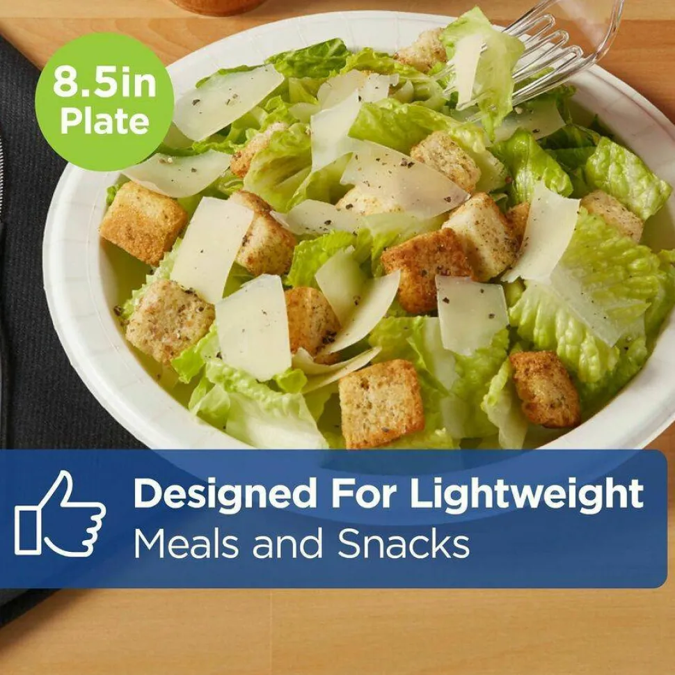 Dixie Basic Light-Weight Paper Plates, 8 1/2", White, 500 Count (125 Plates Per Pack, 4 Packs Per Case)