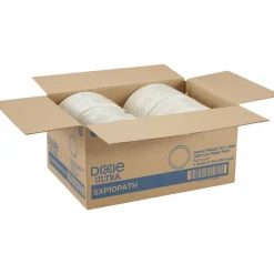 Dixie Ultra 10-1/16" Heavy-Weight Paper Plates, Pathways, 500 Count (125 Plates Per Pack, 4 Packs Per Case)